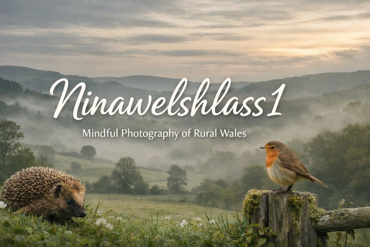 Ninawelshlass1 featured image showing calm Welsh countryside with misty hills, hedgehog, and robin in soft morning light