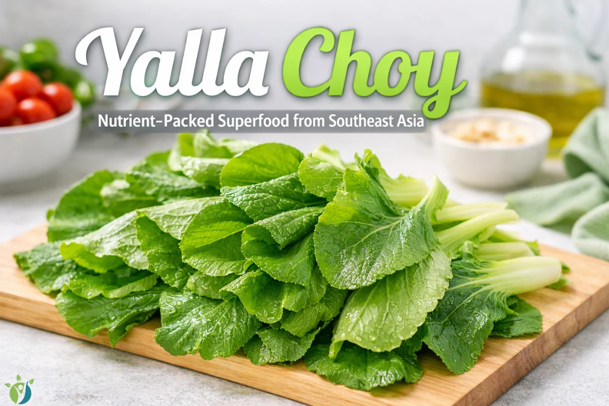 Yalla Choy fresh leafy green superfood from Southeast Asia displayed as a healthy vegetable
