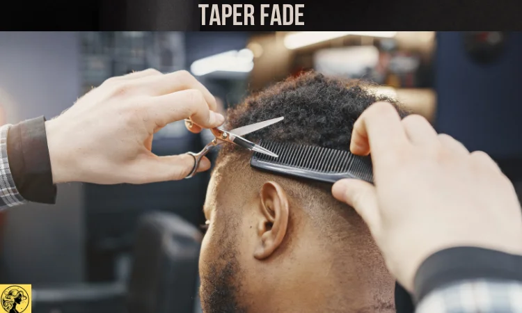 Taper Fade